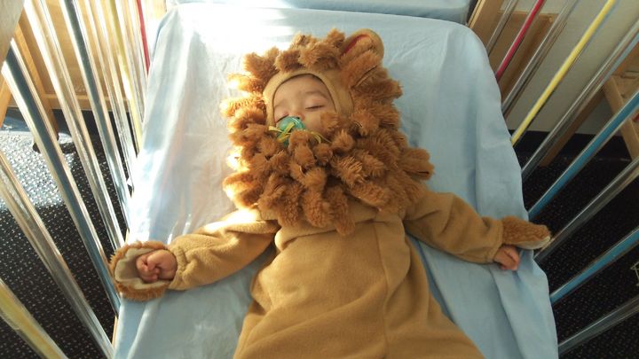 Halloween made this little lion sleepy